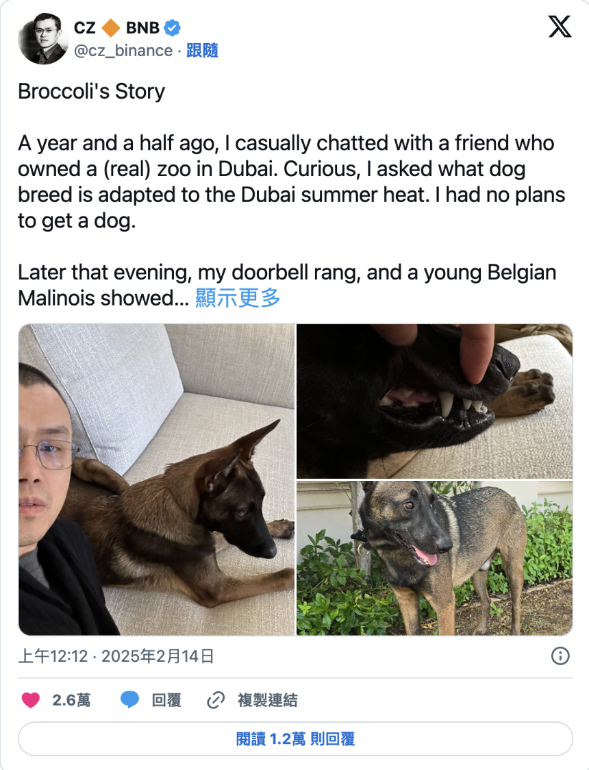 Broccoli 币崛起:从 CZ 的爱犬到迷因币新星