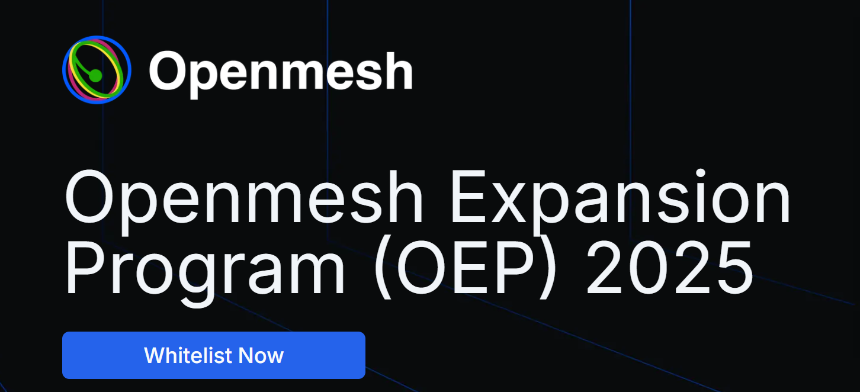 什么是 Openmesh 网络？