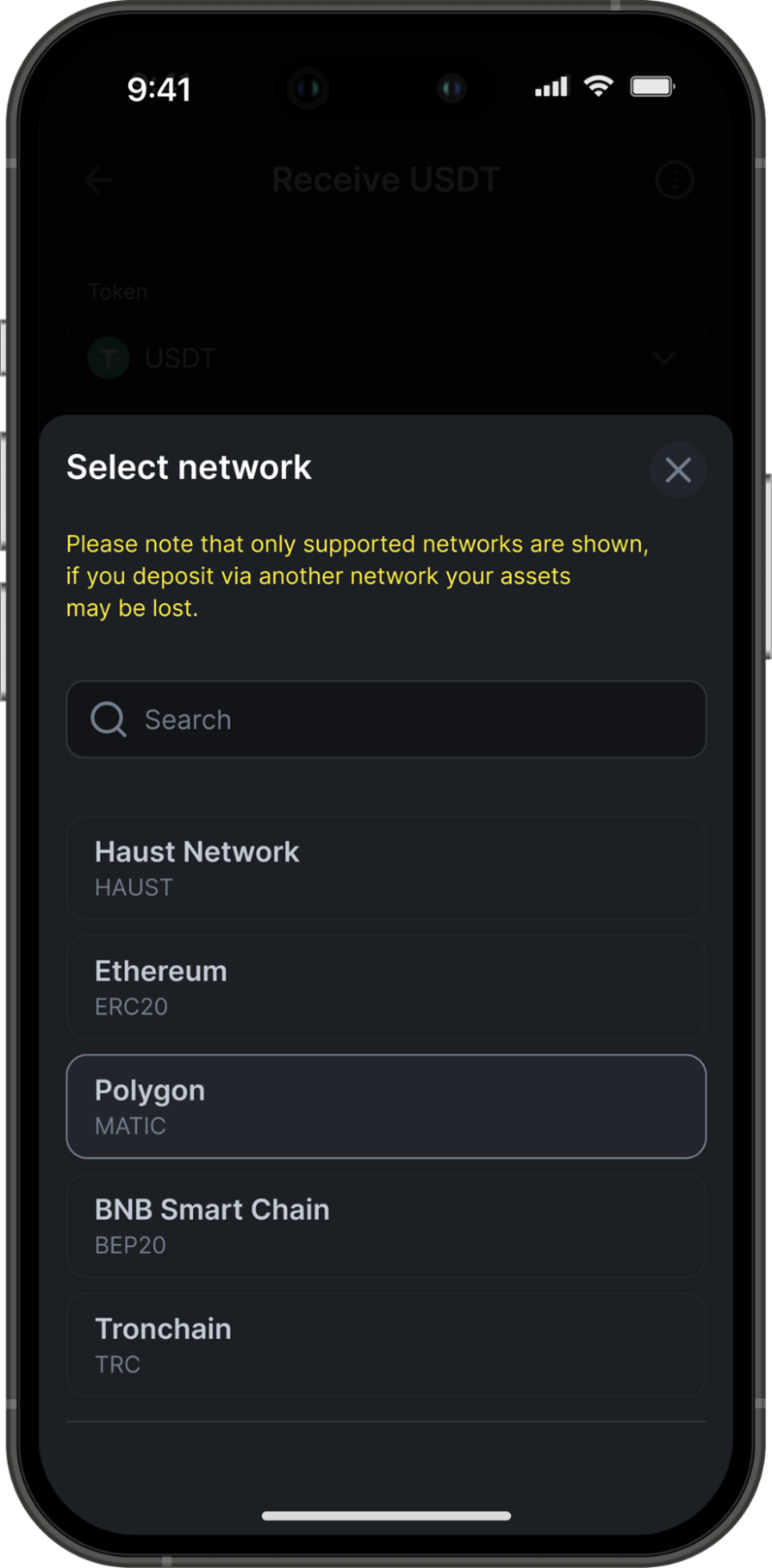 什么是 Haust 网络？