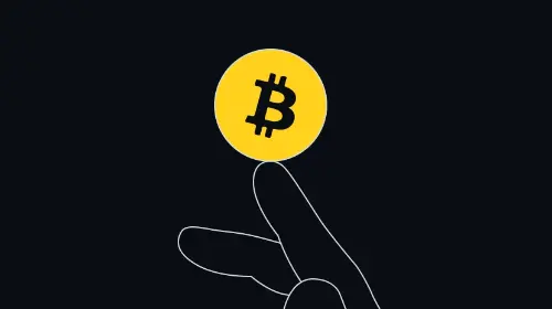 比特币:长期主义者的终极避险方案?