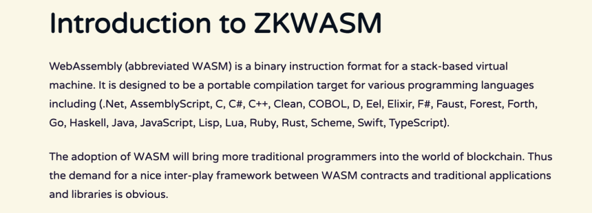 zkWASM 是什么