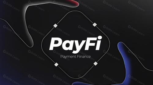 什么是 PayFi？