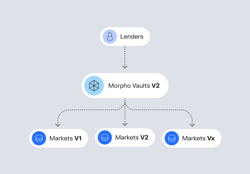Morpho 的核心机制解析