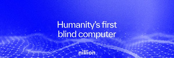 首个盲计算网络 Nillion 及其生态一览