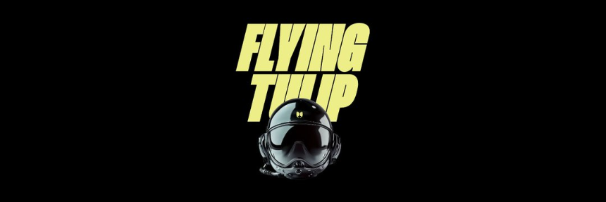 什么是 FlyingTulip？