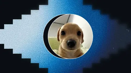 什么是 Billy?