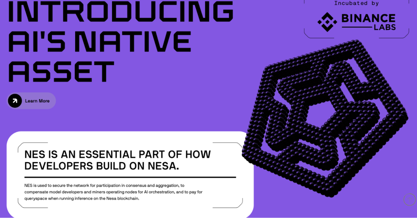 什么是 Nesa Network?