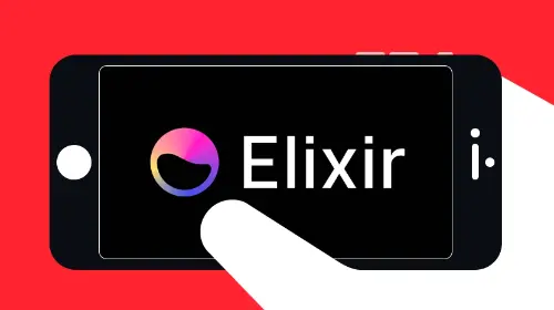 什么是 <span class='keyword'>Elixir</span> Network？