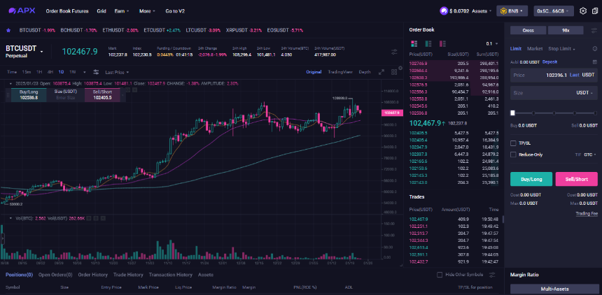 什么是 APX Finance？