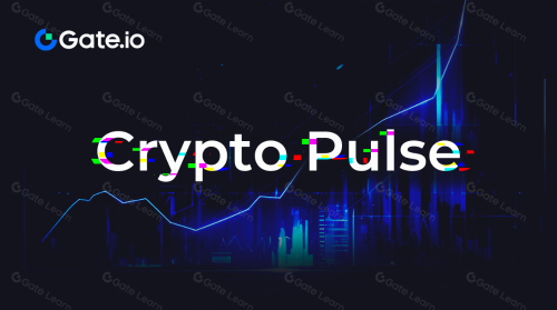 Crypto Pulse——3/6 市场动态与热门项目分析