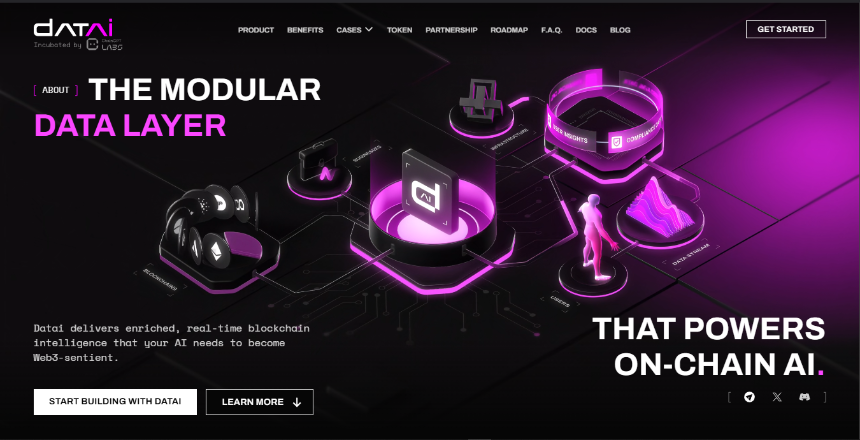 什么是 Datai Network?