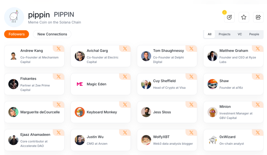 什么是 Pippin？