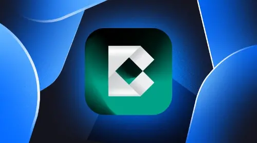 Bondex 是什么?
