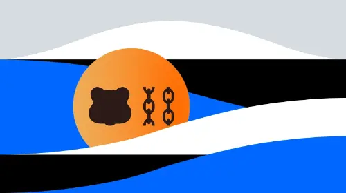 Berachain 上线空投查询后被怨气淹没,代币到底给了谁?