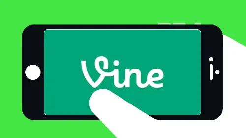VineCoin 是什么?