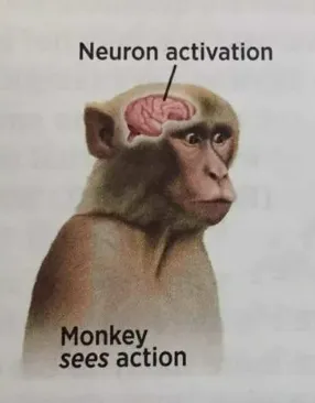 加密货币中的指数思维指南:杠杆、非对称投注与个人成长