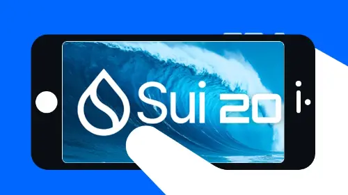 Sui network 的新技术及展望