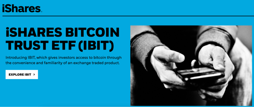 BTC 持有者的分布