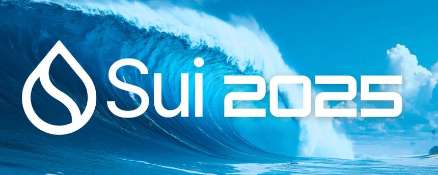 Sui network 的新技术及展望