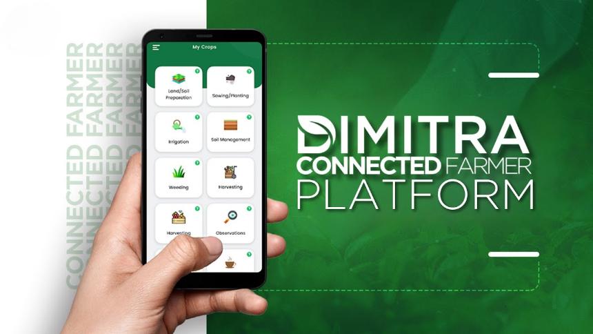 什么是 Dimitra”，“什么是 DMTR 币