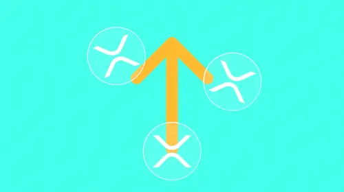 XRP 突破新高,老币凶猛背后的加密平行世界