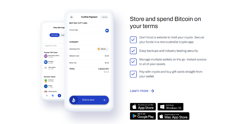 什么是 BitPay？