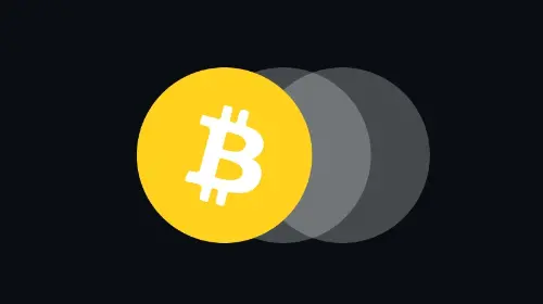 BTC 持有者的分布