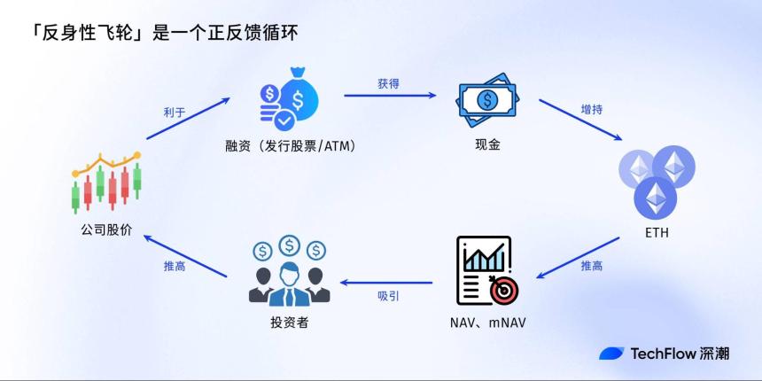 如何用 NAV 评估你的加密股票值多少钱？