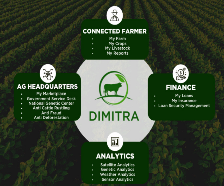 什么是 Dimitra”，“什么是 DMTR 币