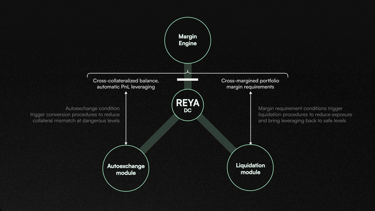 什么是 Reya 网络?