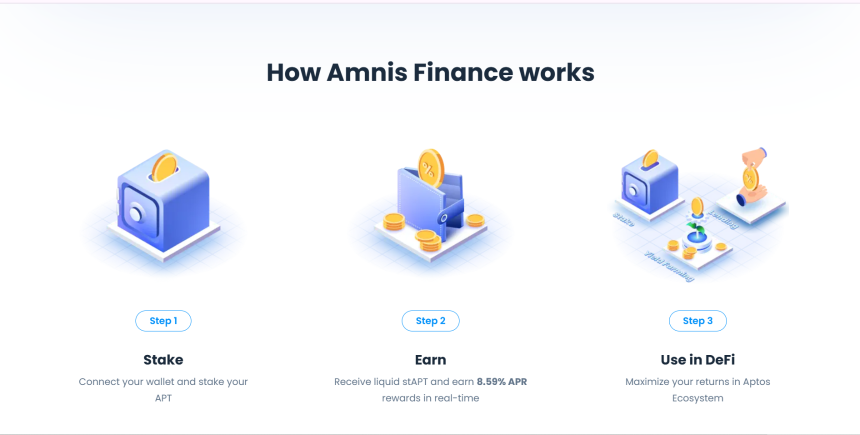 什么是 Amnis Finance?