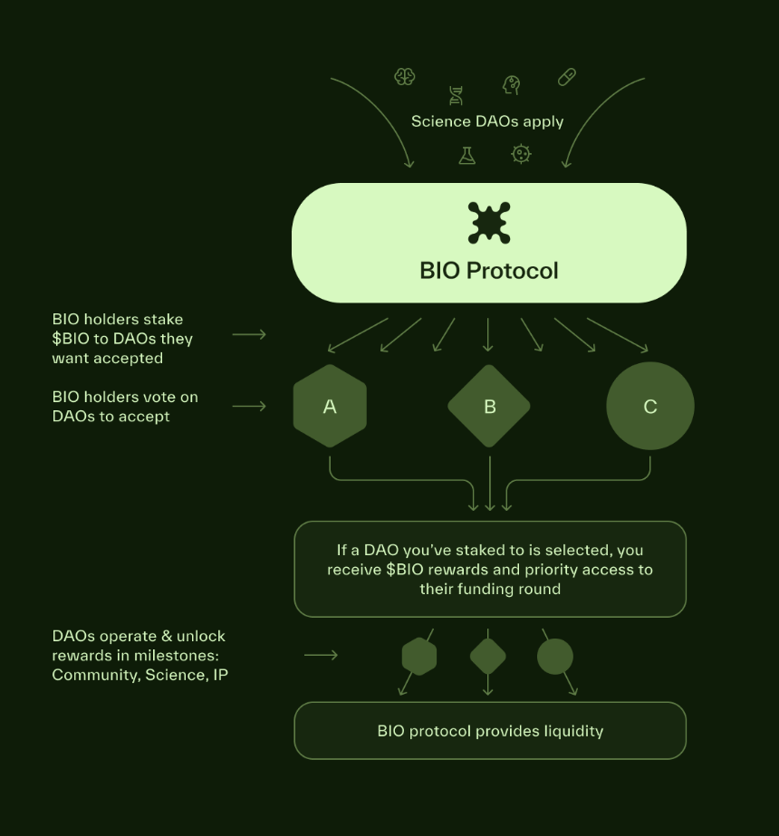 解读 BIO Protocol:Binance Labs 首涉 DeSci 投资,构建有意义的科研资助孵化器