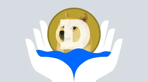 一文梳理马斯克与DOGE的爱恨情仇