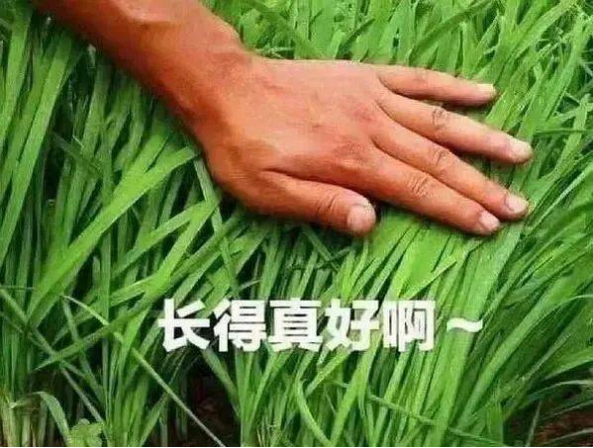 如何做好空投预期管理:项目方“大格局”的正确展开姿势