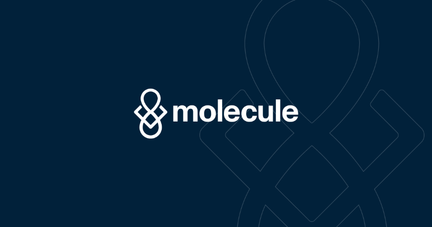全面概述 Molecule