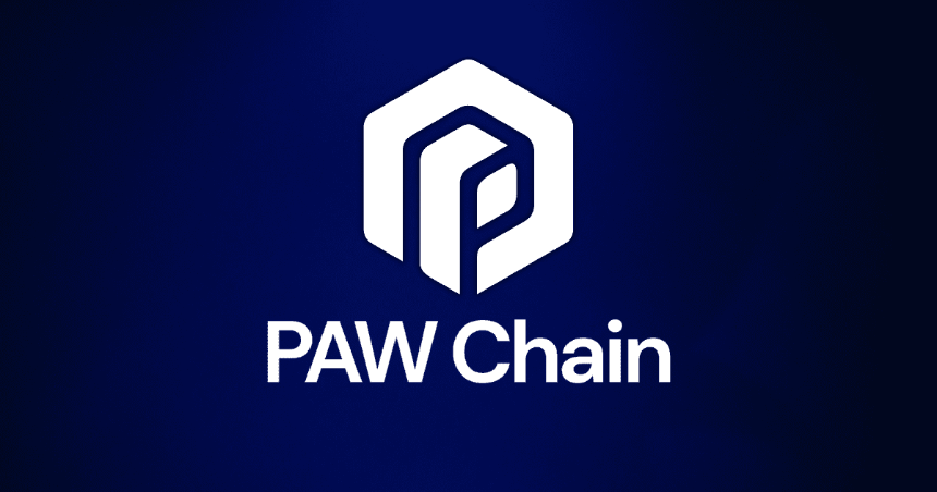 一文读懂 PawChain