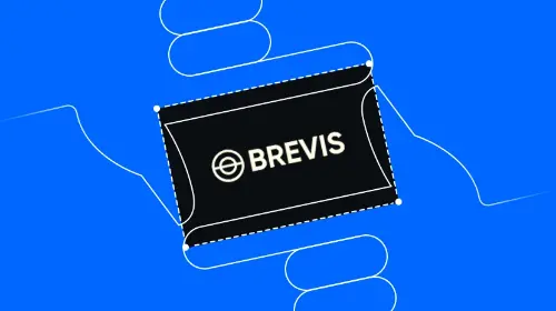 一文读懂 Brevis
