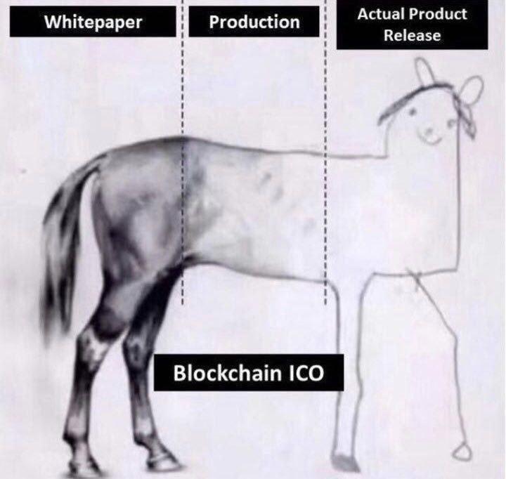 五个无用迷因币的真实案例