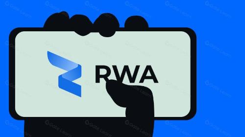 什么是 RWA Inc.?