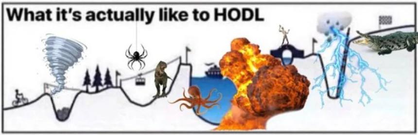 请拿住(HODL)你的比特币