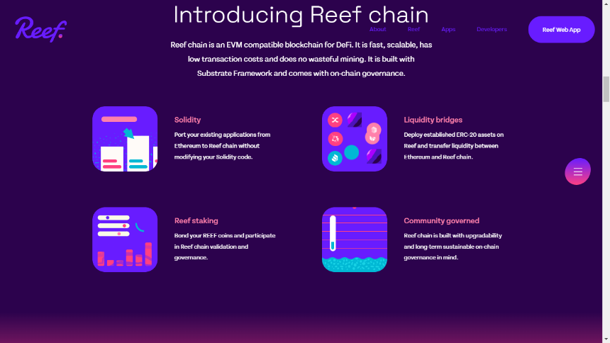 全面解读 Reef Chain