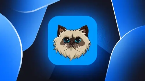 什么是Mister Miggles？新手指南