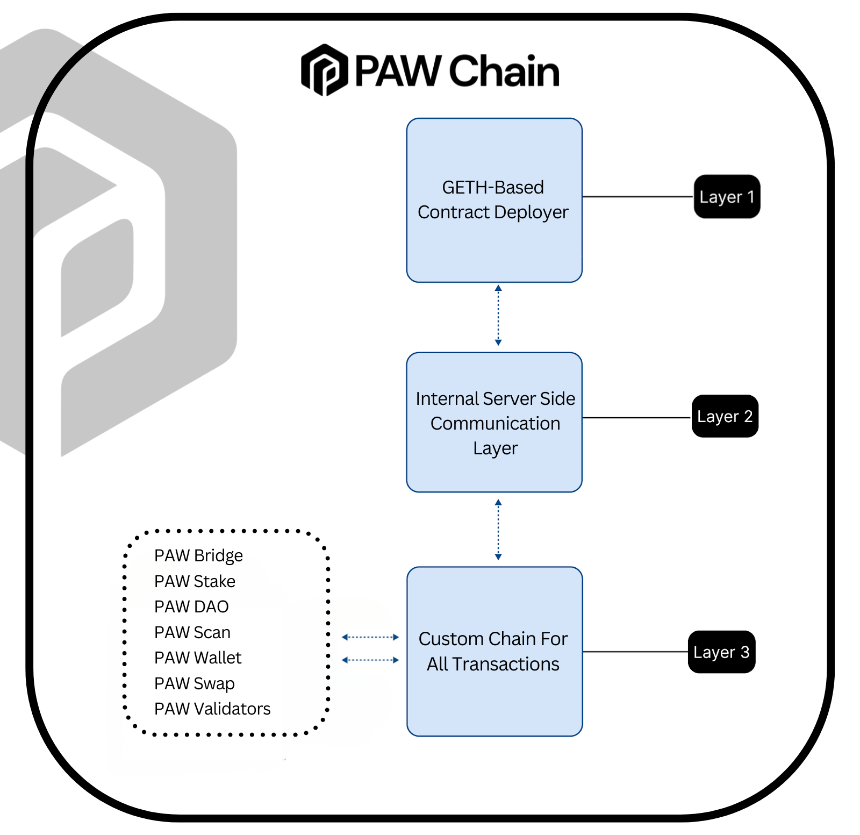 一文读懂 PawChain