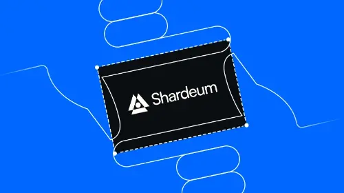 什么是 Shardeum？Shardeum 生态系统全解析