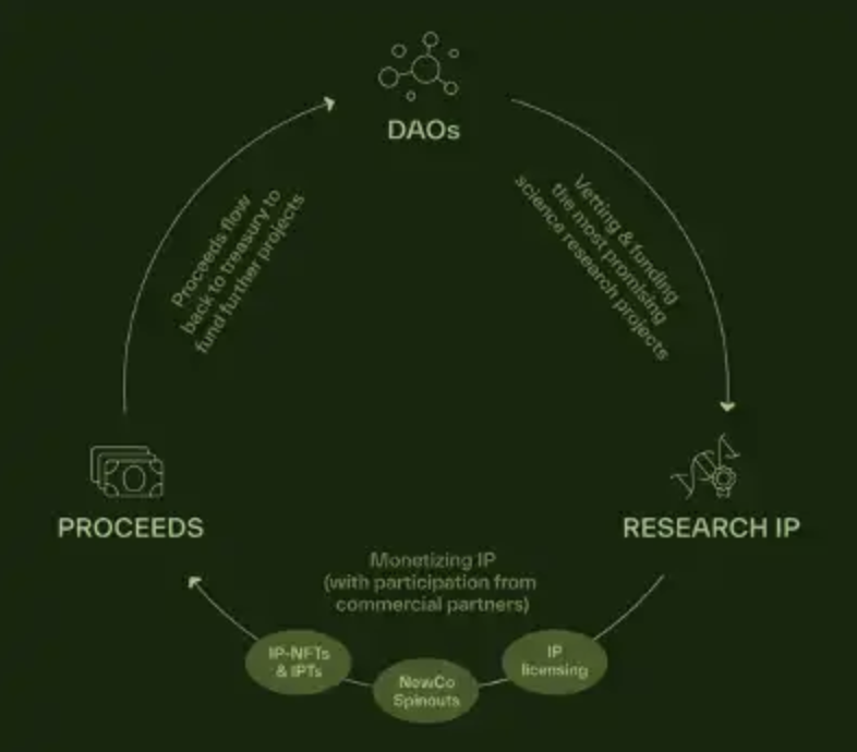 AI & DeSci——穿越牛熊的叙事背后的基建潜力