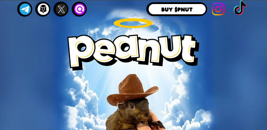 什么是 Peanut the Squirrel(一只名为花生的松鼠)?一文读懂 PNUT 代币