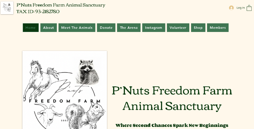 什么是 Peanut the Squirrel(一只名为花生的松鼠)?一文读懂 PNUT 代币