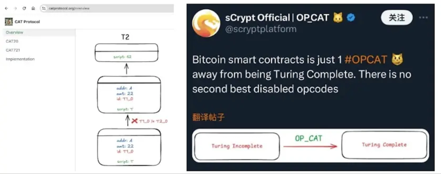 什么是 CAT Protocol?