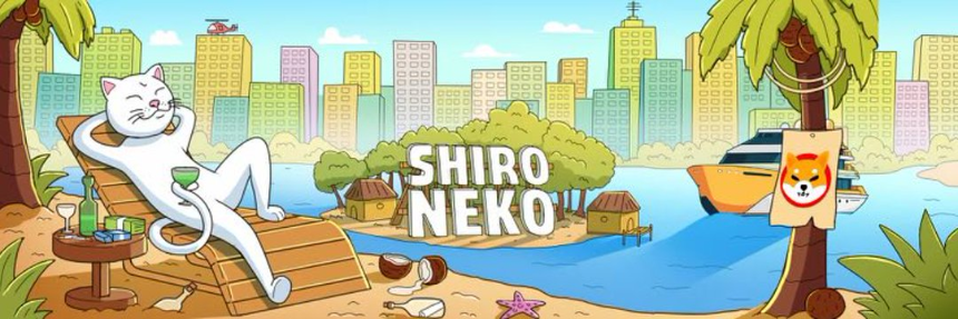 白猫经济学: Shiro Neko 的诞生与价值探讨