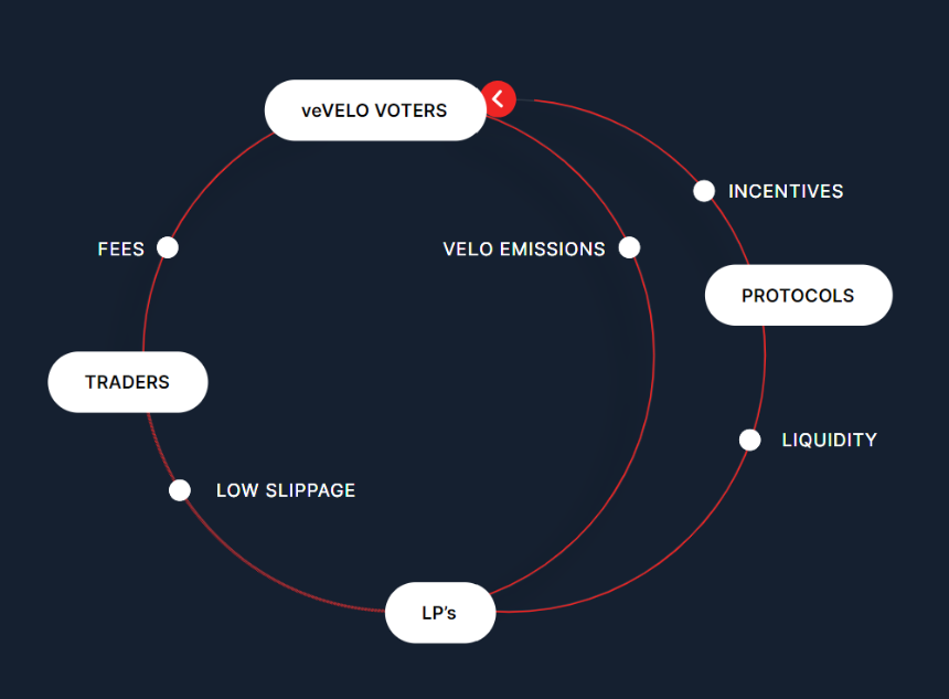 一文读懂 Velodrome Finance